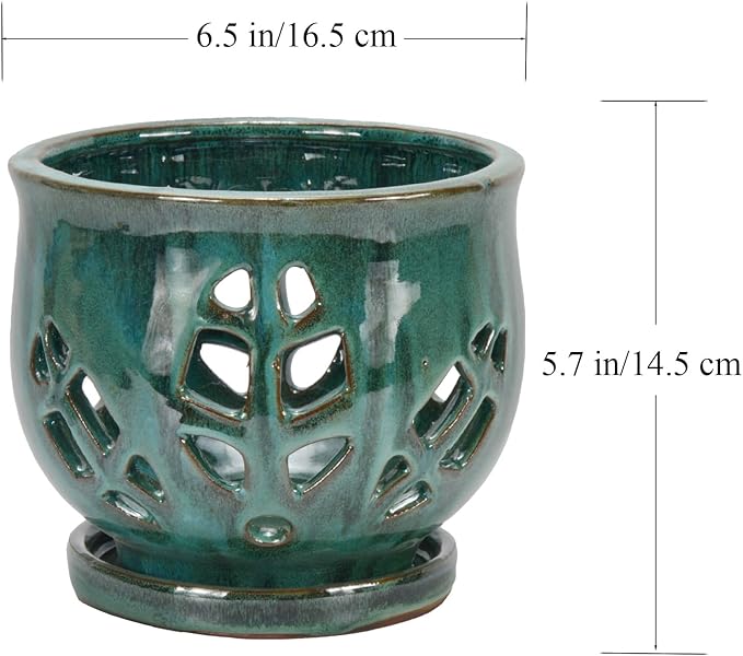 W&W Orchid Pot with Holes and Saucer for Repotting, Green Mix, 6.5 Inches