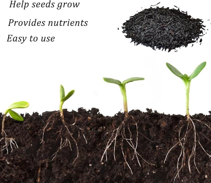 Horticultural Charcoal, Rice Husk Natural Activated Charcoal for Plants Indoor Biochar Soil Amendment Organic for Terrariums - 4.4 lbs