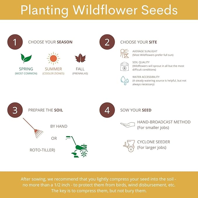 32,500 Seeds Honey Bee Wildflower Pollinator Mix - Perennial & Annual Wild Flowers for Spring & Fall - Planting Outdoors to Save The Bees - California Poppy, Primrose, Bergamot - 1 oz