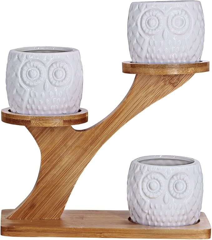 3pcs Owl Succulent Pots with 3 Tier Bamboo Saucers Stand Holder - White Modern Decorative Ceramic Flower Planter with Drainage - Home Office Desk Garden Mini Cactus Plant Pot Indoor Decoration