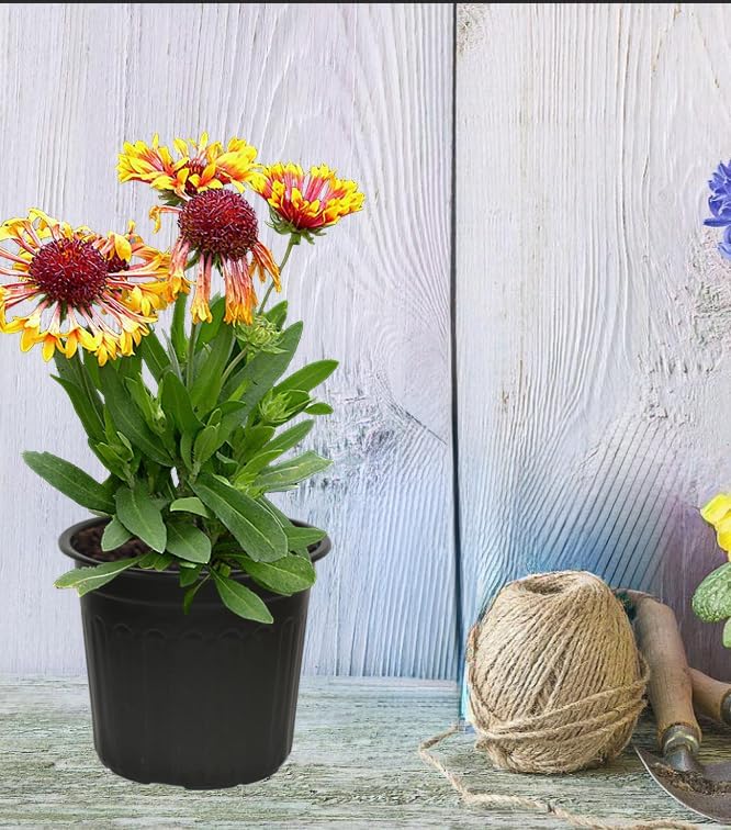 60-Pack 2 Gallon Flexible Plastic Plant Pots with 50Pcs Plant Labels,Thickened Soft Seed Starting Container for Indoor Outdoor Plants, Seedlings, Vegetables, Succulents and Cuttings