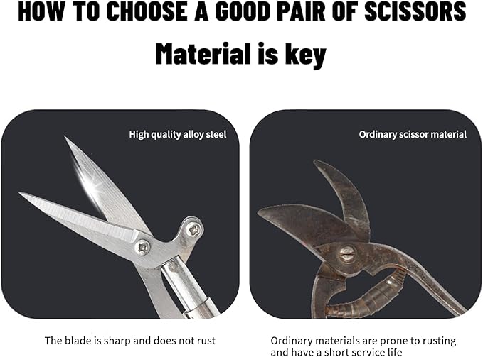 Pointed Stainless Steel Gardening Shears, Hand Pruners, Garden Clippers Handheld, Floristry Scissors, Picking Pepper Wolfberry Fruit (Black)