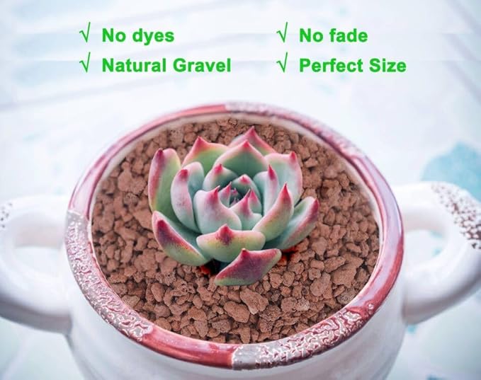 2.4lb Red Horticultural Lava Rock Soil Additive for Cacti, Vase Fillers, Succulents and Terrarium Plants - No Dyes or Chemicals - 100% Pure Volcanic Rock