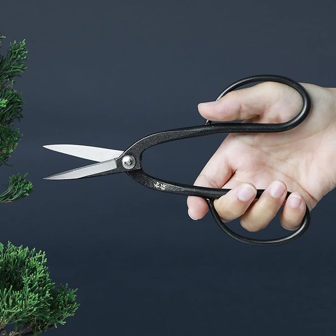 Wazakura Yasugi Steel Made in Japan Ashinaga Bonsai Scissors 8.2 in (210 mm), Bonsai Tree Pruning Shears, Japanese Gardening Tools