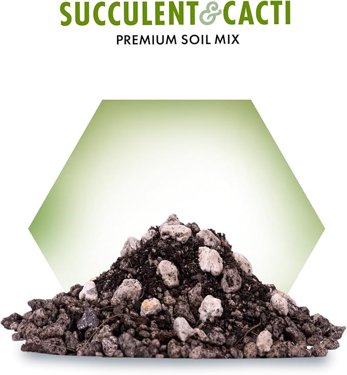 Premium Succulent Soil Mix for Indoor & Outdoor Plants - Fast-Draining Potting Soil for Succulents, Cacti, & Houseplants - Natural Blend with Pumice for Optimal Plant Growth