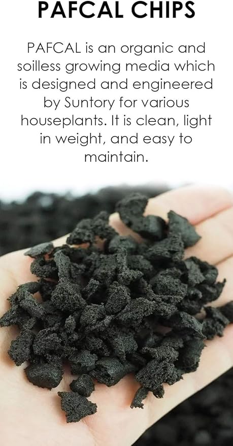 PAFCAL Chips for Indoor and Outdoor | Sponge for Plants | Garden Wall Decoration | Vegetable Growing Kit | Organic Sponge for Plants Landscape and Nursery Pots | Soil Replacement | 0.5kg (Pafcal 500)