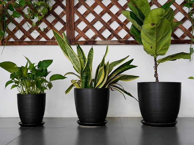 Ceramic Plant Pot - 8 Inch Ceramic Planter for Indoor Plants Glazed Round Flower Pot with Drainage Hole and Saucer Black