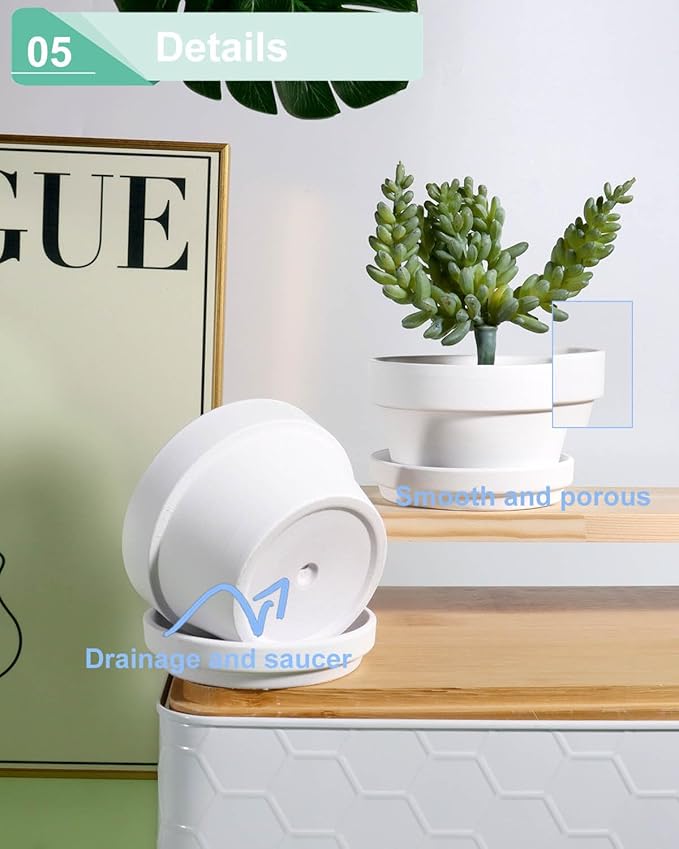 vensovo 4.5 Inch White Terracotta Shallow Succulent Pots - 6 Pack Terra Cotta Clay Pot with Saucer, Cacuts Indoor and Outdoor Planters with Drainage Hole