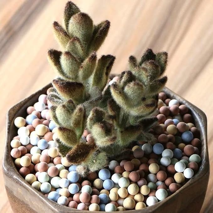 Garden Soil,Clay Pebbles Gardening Ceramsite Orchid Rocks Drainage Water Purification Ceramsite Decor Cultivation Soil Stone Horticultural Grade for Soil Hydroponics Aquaponics,4LBS