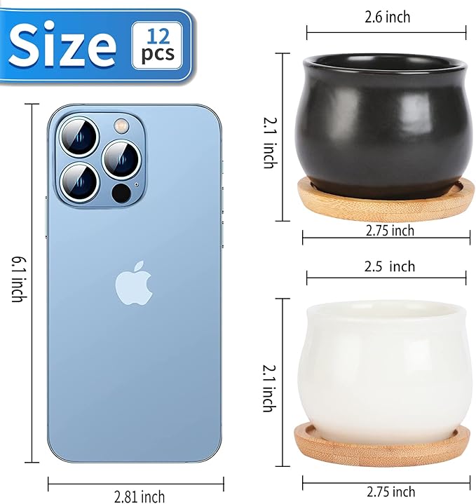 12 Pack Succulent Plant Pot, Mini 2.6 inch Ceramic Flower Planter Pot with Bamboo Tray, Small Pots for Plants, Plants Not Included （White, Black）