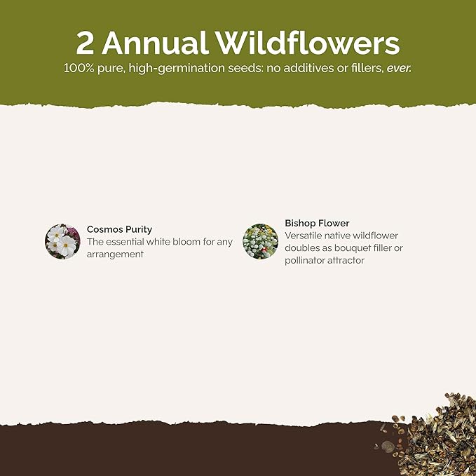 Eden Brothers Moon Garden Flower Mixed Seeds for Planting, 1 lb, 480,000+ Seeds with Cosmos Purity, Bishop's Flower | Attracts Pollinators, Plant in Spring or Fall, Zones 3, 4, 5, 6, 7, 8, 9, 10