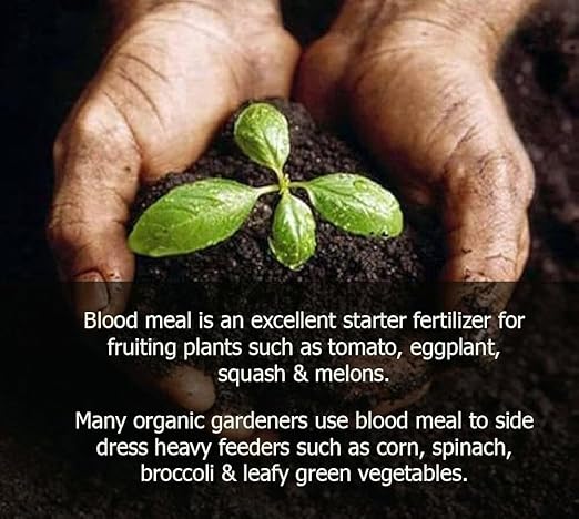 Premium 12-0-0 Organic Blood Meal Fertilizer by Gardenera - All-Natural Plant Food Source of Nitrogen for Organic Gardening, Flowers, Vegetables, Trees & Shrubs - 20 Quart