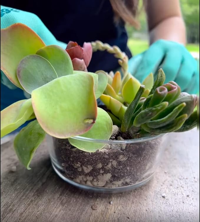 Pure Icelandic Potting Pumice, 10 lbs (8.5 quarts)