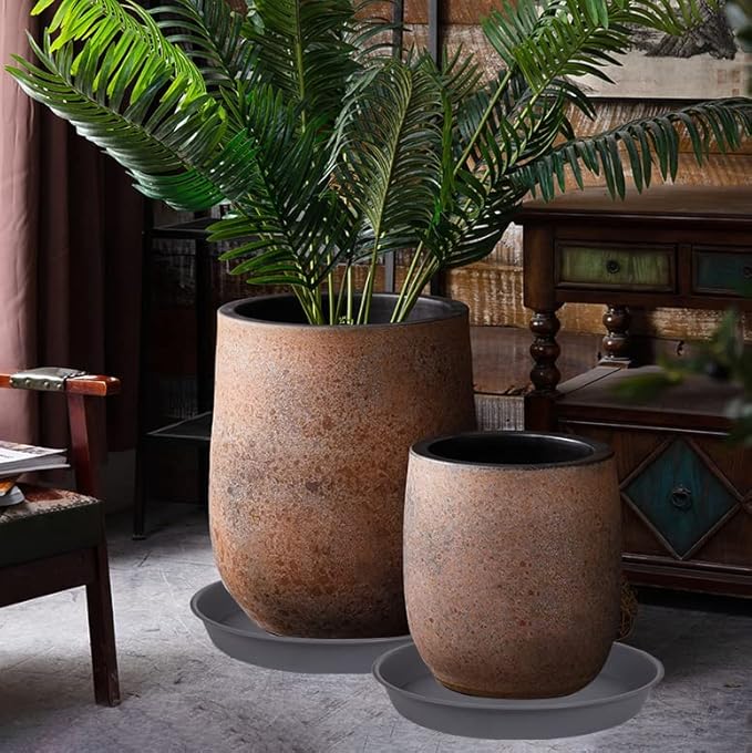 Plant Saucer, Plant Saucers