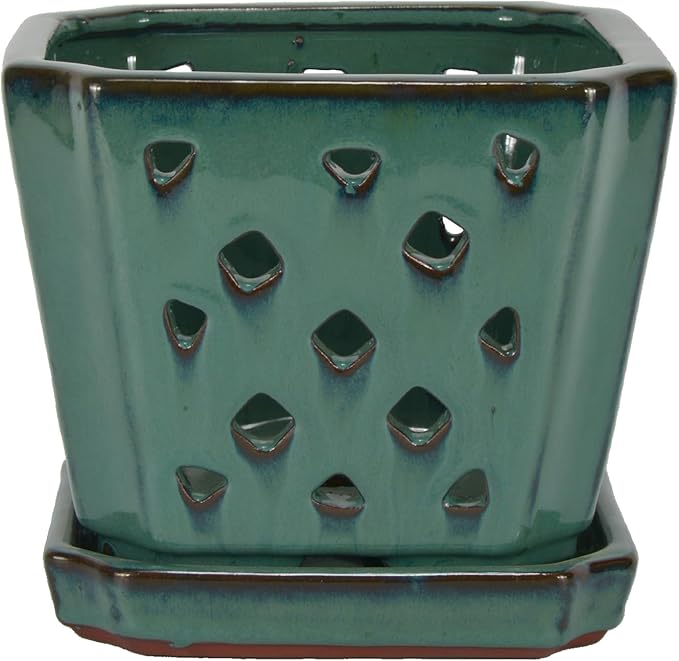 W&W Orchid Pot with Holes and Saucer for Repotting, Green, 7 Inches