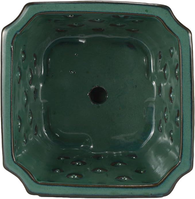 W&W Orchid Pot with Holes and Saucer for Repotting, Green, 7 Inches