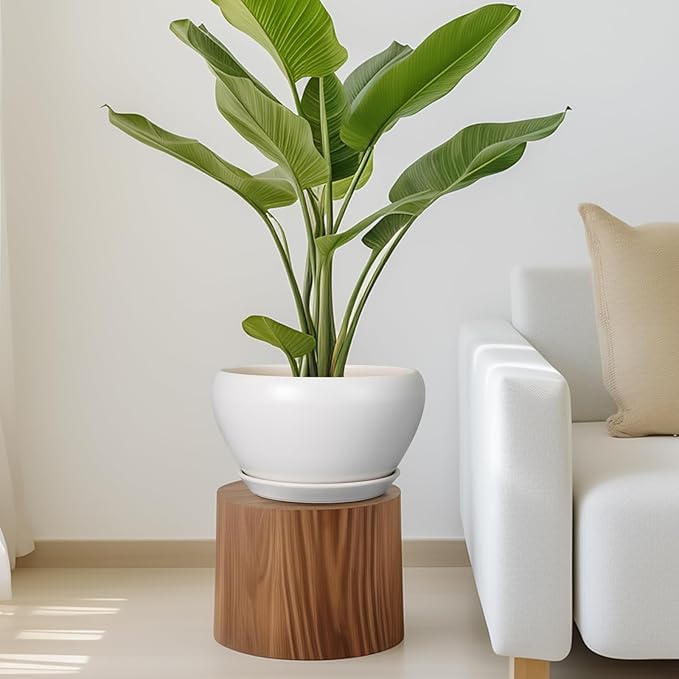 Ceramic Planter for Indoor Plants - 11 Inch Plant Pot with Drainage Hole and Saucer Decorative Round Large Planter Pot for Plants Outdoor Flower Pot for Garden White