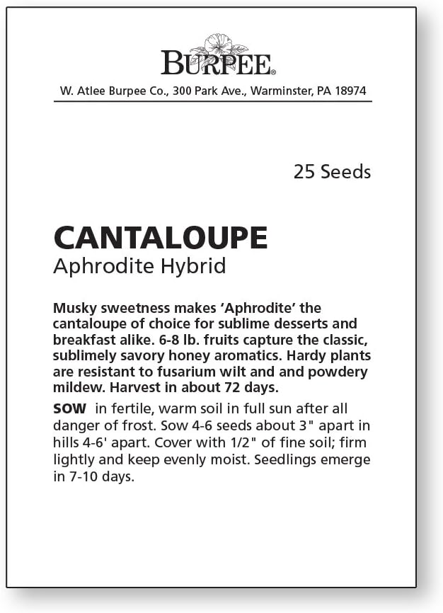 Burpee Aphrodite Cantaloupe Melon Seeds 25 seeds