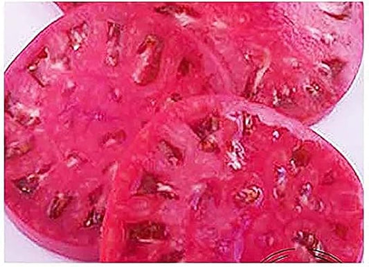 Watermelon Beefsteak Tomato Seeds - Large Tomato - Delicious Tomato for Home Growing