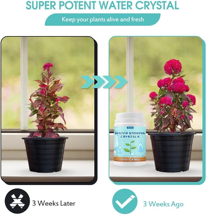 3LB Water Storing Crystals for Plants with Spoon, Water Gel Solves Plant Over-Watering and Drought Problems, Keeps The Soil Moist, Small Water Storing Polymer Crystals for Plants Candle - by Oycevila