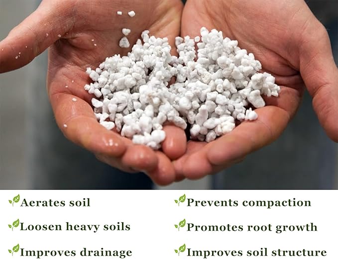 Chunky Perlite Bulk, Horticultural Pearlite Coarse Perlite for Plants Indoor, Additive Conditioner Mix, Improve Drainage and Ventilation, Help Root Growth (5-10mm, 2qt)