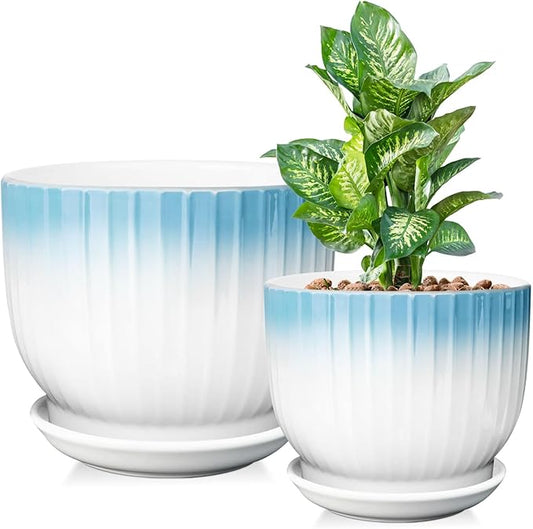 6.7 + 5.5 Inch Plant Pot, Ceramic Planter with Drainage and Saucer, Ceramic Pots for Plants, Indoor Plant pots,Ceramic Flower pots（Blue + White, Plants NOT Included）