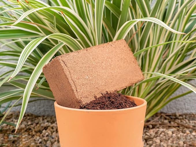Coco Coir for Plants 1-Pack – 2.2 Gallons Compressed Coconut Coir Bricks, 1.5 lb. Bulk, Low EC, pH Balanced, Natural Coco Peat for Indoor & Outdoor Gardening, Potting Soil, Indoor Plant Soil