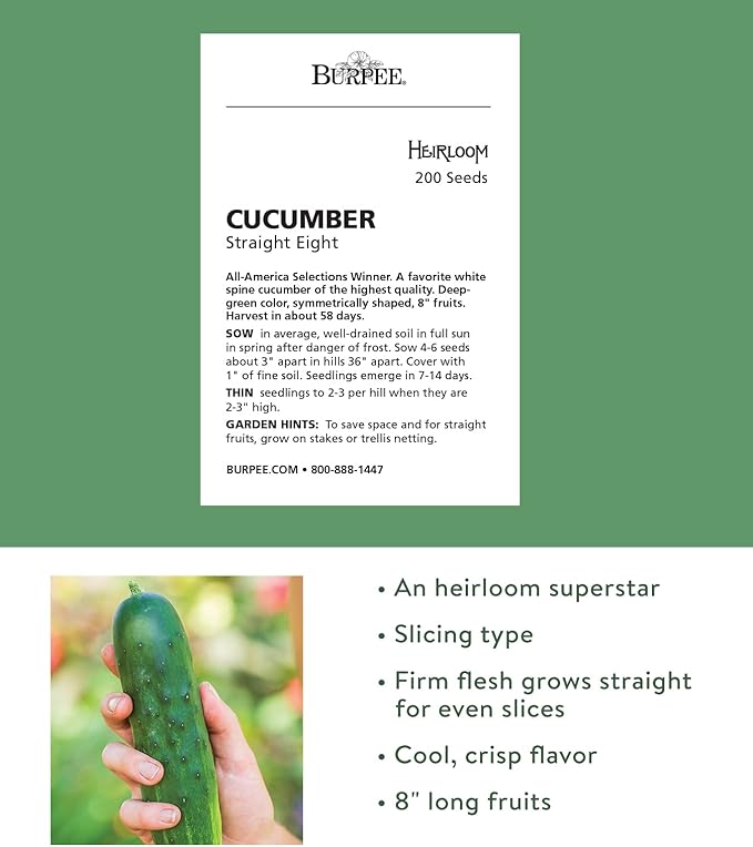 Burpee 'Straight Eight' Slicing Cucumber Seeds, 200 Non-GMO seeds, Heirloom