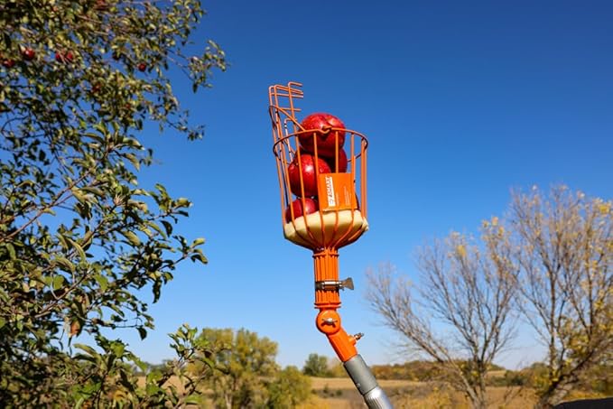 21ft Reaching Fruit Picker with Lightweight Rigid Pole – Patented Compact Foldable Design with Twist on Head – 2 in 1 Combo Pack – MESH Carrying Bag Included