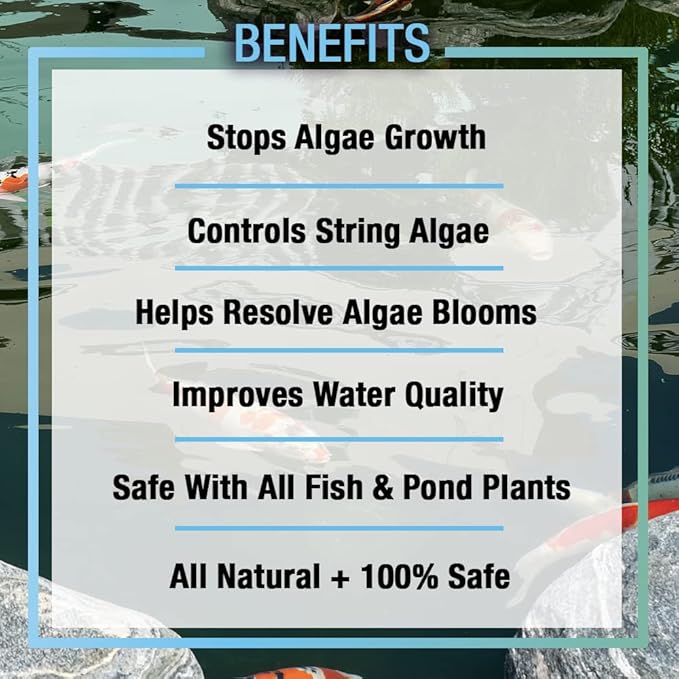 MICROBE-LIFT ALGA32 Algaway 5.4 Algae Control Treatment for Ponds and Water Gardens, 32 Ounces & MLCBSE1L Concentrated Barley Straw Extract Conditioner for Ponds and Outdoor Water Garden,32 Ounces
