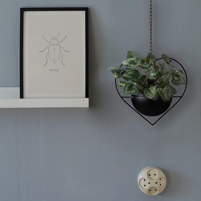 Hajia 1 Pack Heart Shaped Boho Hanging Plant Holder with 6inch Detachable Pot, Black Metal Wall Ceiling Plant Hanger for Indoor Outdoor, Minimalist Small Hanging Planter for Home Wedding Decor