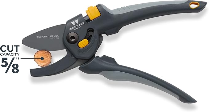 Woodland Tools Co. Heavy Duty Adjustable Anvil Pruning Shears, Gardening Hand Pruner, Stem Cutter, Branch Trimmer, for Dry Dead Growth (05-2004-100)