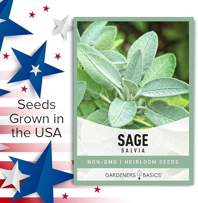 Gardeners Basics, Sage Seeds for Planting Heirloom, Non-GMO Herb Variety- Great for Indoor and Outdoor Gardening