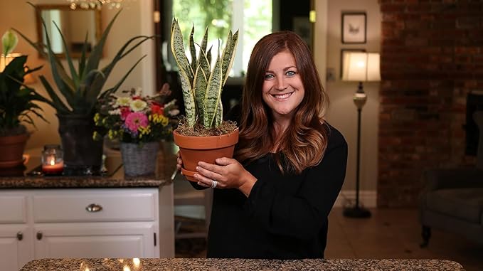 Espoma AP8 8-Quart Organic Potting Mix (4 Pack)