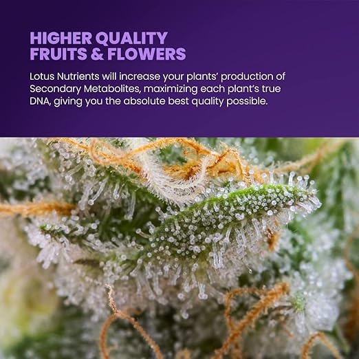 18oz Carboflush - Harvest Flavor Enhancer, Finisher, Cleanser – Naturally Derived Premium Powdered Nutrient – Harvest Enhancing Fertilizer for Soil, Hydroponic, and Coco Coir - Indoor and Outdoor