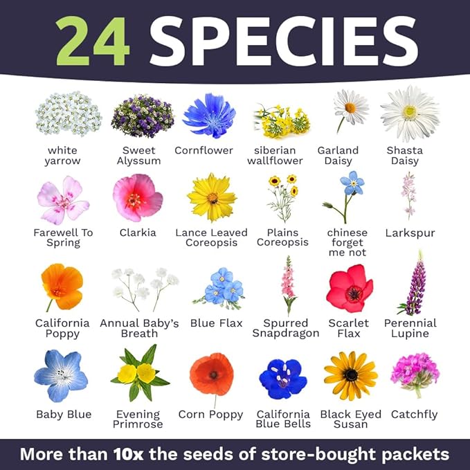 California Wildflower Mixture - Bulk 1 Ounce Packet - Over 7,000 Native Seeds - Open Pollinated and Non GMO