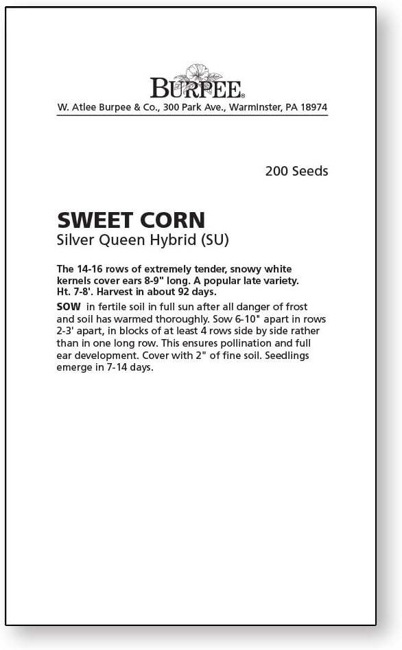 Burpee Silver Queen Sweet Corn Seeds 200 seeds