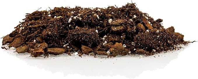 Premium Gardenera House Plant Potting Mix | Fern + New Zealand Bark + Perlite | Great for Pothos, Spider Plants, Montsera, Philodendron, English Ivy - 4 Quart Bag