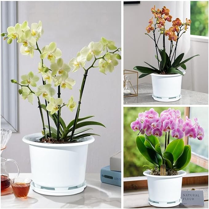 8 Inch Orchid Pots with Holes and Saucers,Double Layer Plastic Large Orchid Planter Pot,Flower Pots for Indoor Outdoor Flower Plants,Orchids,Herbs,Snake Plants and Succulents