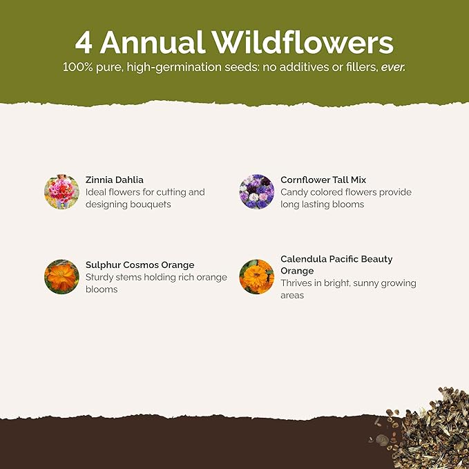 Eden Brothers Jellybean Flower Mixed Seeds for Planting, 1 lb, 480,000+ Seeds with Zinnia, Cornflower, Cosmos, Calendula | Attracts Pollinators, Plant in Spring or Fall, Zones 3, 4, 5, 6, 7, 8, 9, 10