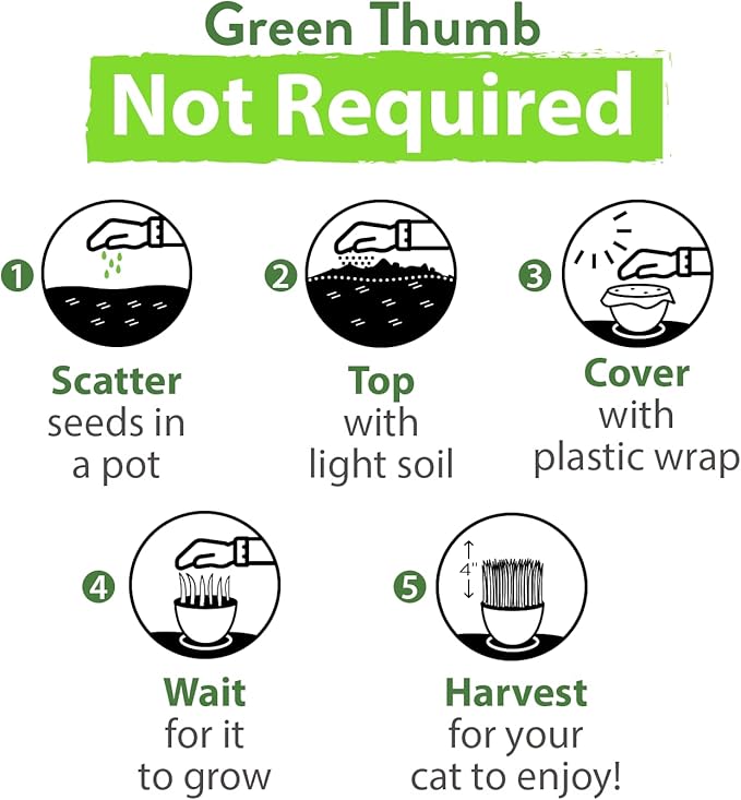 HOME GROWN Cat Grass Seeds (6oz) - Barley & Oat Seeds Mix - Keep Pets Healthy with Cat Grass for Indoor Cats - Cat Grass Seeds Bulk - Refill Cat Grass Growing Kit-100% Non-GMO, Heirloom Cat Grass Seed