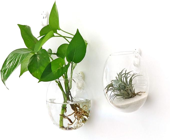 Kingbuy Wall Hanging Propagation Station Glass Plant Terrarium Container Egg Shape for Propagating Hydroponic Plants Home Office Garden Decor Wedding, 2 Pack