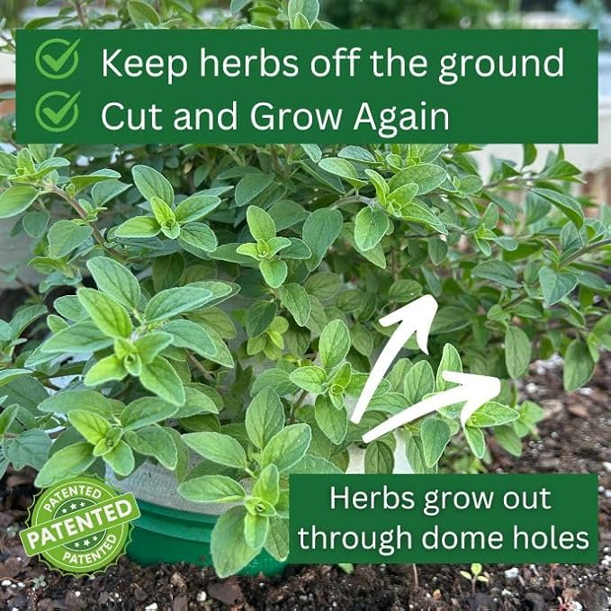 4 Herb Garden Kit with Grow Rings and Greenhouse Germination Domes – Certified Organic Herb Planter Kit – Gardening Gift for Mom, Teachers, Women, and Men – Made in USA