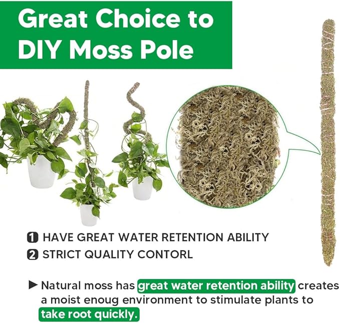 Natural Long Fiber Sphagnum Moss 82QT for Orchid Potting Mix,and Moss Pole for Plants Indoor.Ideal for Propagating Plants,Maintaining Humidity for Reptiles, Isopods in Paludarium, Aquascape (1.5 lb)