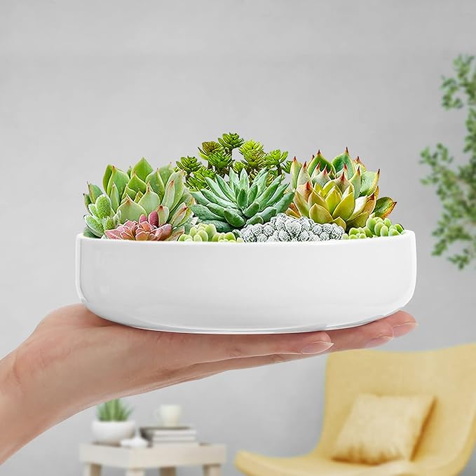 ZOUTOG Succulent Pots, 6 inch White Ceramic Flower Planter Pot with Bamboo Tray, Pack of 2 - Plants Not Included