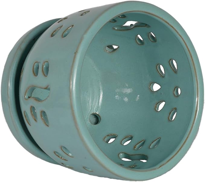 W&W Orchid Pot with Holes and Saucer for Repotting, Turquoise, 5.8 Inches