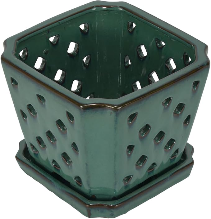 W&W Orchid Pot with Holes and Saucer for Repotting, Green, 7 Inches