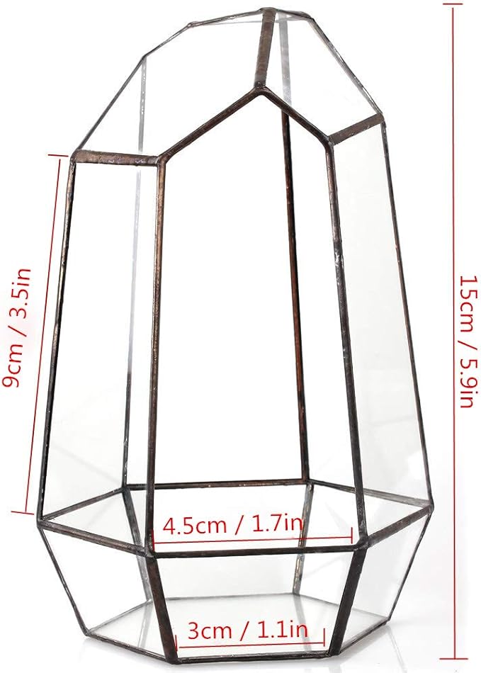 NCYP Small Geometric Terrarium - 4.1" x 3.5" x 5.9" Miniature Irregular Glass Terrarium Planter for Succulent Air Plants - Tabletop Garden Display Container, Black (No Plants, No Door)