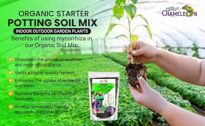Organic Seed Starter Soil – Seed Starting Mix with Mycorrhizal Fungi – Natural Root Stimulator – Potting Soil for Vegetables and Herbs (4 QUARTS)