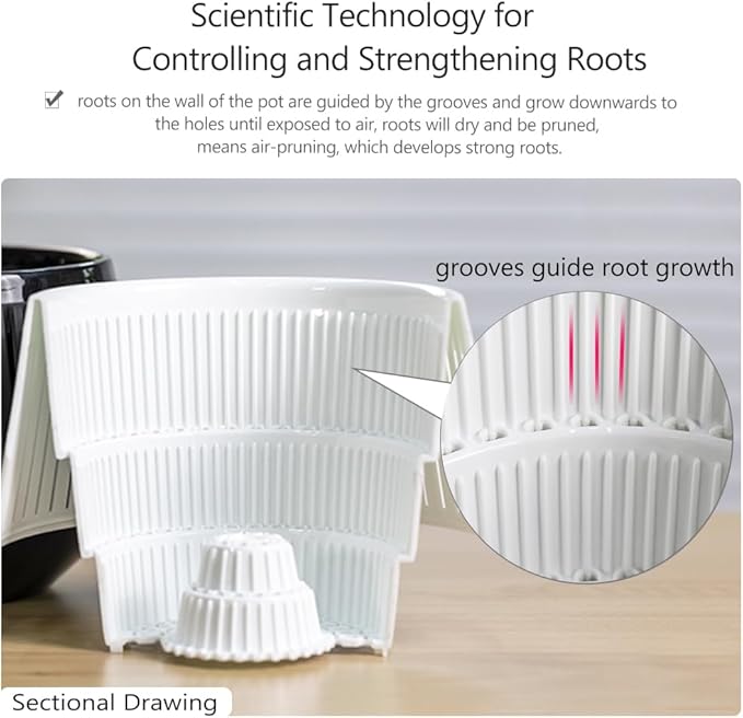 5 inch Orchid Pots with Holes for Repotting,Set of 3,Decorative Orchid Planter with Air-Pruning and Good Air Circulation,Plastic White Orchid Container with Saucers